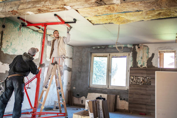 Professional Foam Insulation Services in Lincoln, AL